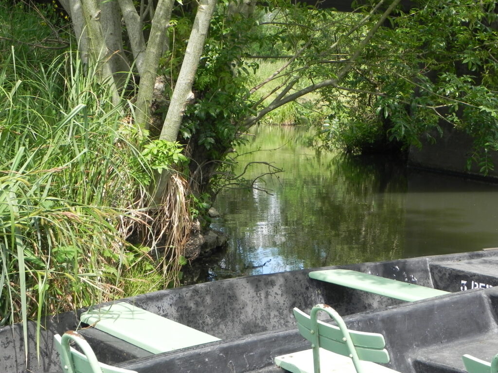 Marais Poitevin mouillé au paysage vivant et pittoresque. Expérience visiteur et tourisme responsable