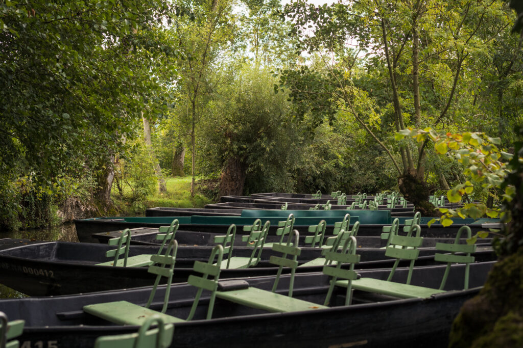 Pendant la location de votre hébergement, découvrez Embarcadère Bardet Huttiers situé en plein cœur du Marais Poitevin et réservez votre balade en barque.